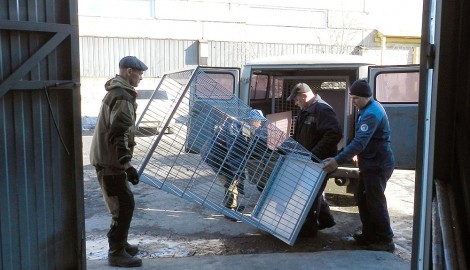 Отгрузка габионов заказчику